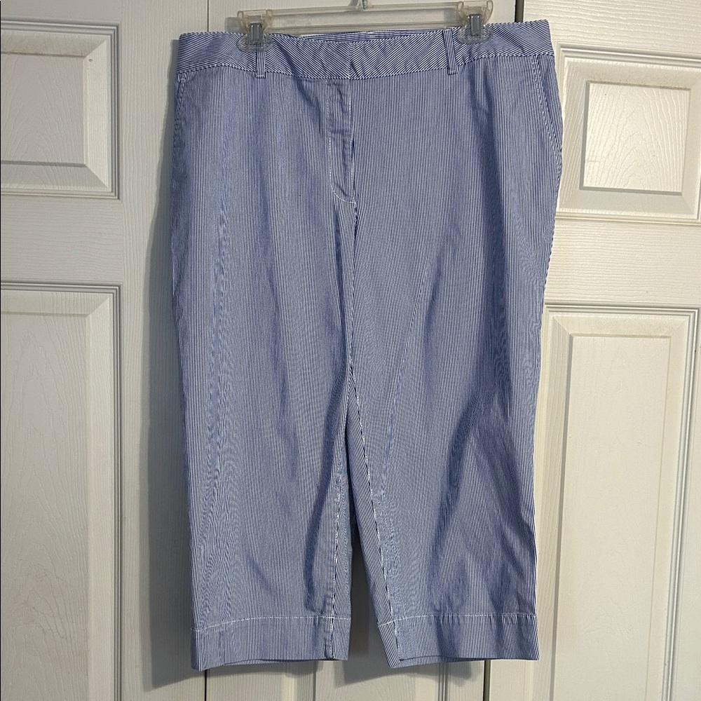 TALBOTS Size 16WP Wide-Leg Crop Length Pinstripe Pants Blue White Coastal Cotton - Picture 2 of 9